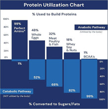 Load image into Gallery viewer, PerfectAmino® Drink Powder — Clean Plant-Based Wellness Blend