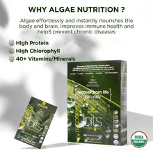 Load image into Gallery viewer, RECOVERYbits® Chlorella Algae Tablets – Single Packs