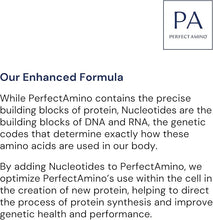 Load image into Gallery viewer, Perfect Amino Powder
